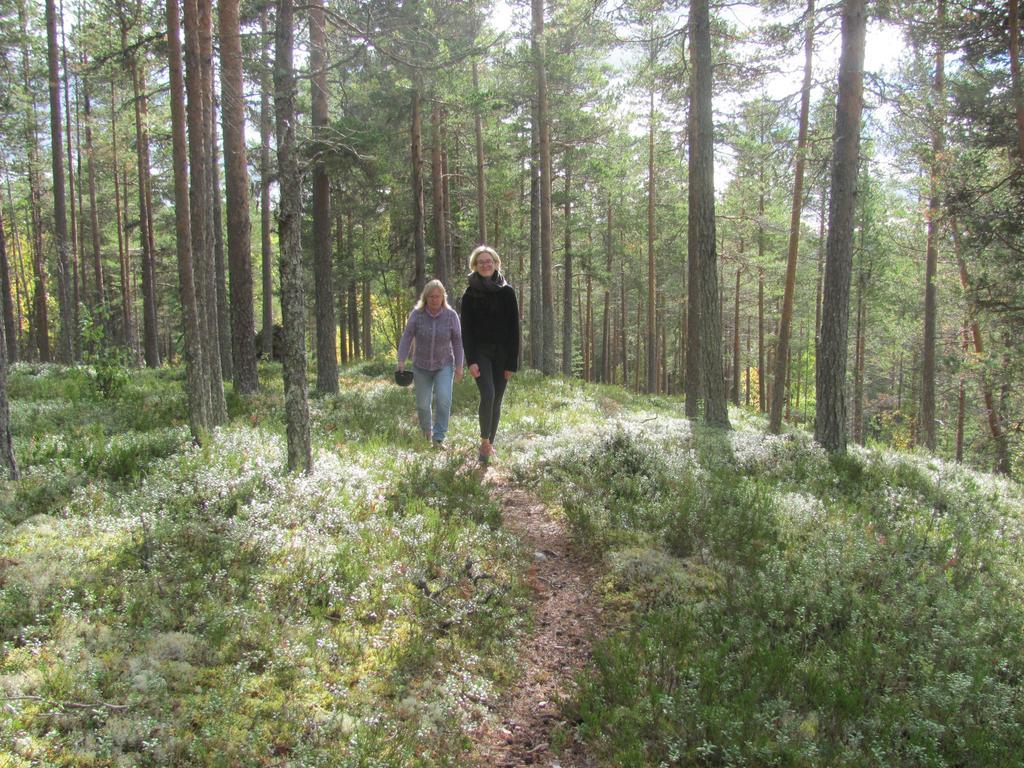 Ellis Garden Vendégház Vemhån Kültér fotó