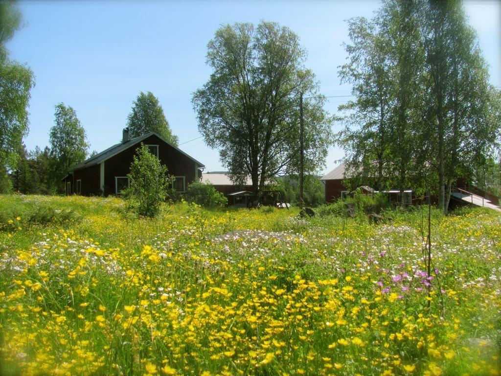 Ellis Garden Vendégház Vemhån Kültér fotó
